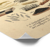 Vintag 1831 Mushroom Variety Green Yellow Print Poster (Ecke)