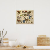 Vintag 1831 Mushroom Variety Red Blue Print Poster (Küche)