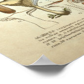 Vintag 1831 Mushroom Variety Red Yellow Print Poster (Ecke)