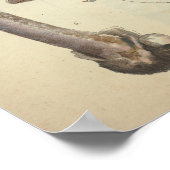 Vintag 1831 Mushroom Variety White Brown Print Poster (Ecke)