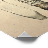 Vintag 1831 Mushroom Variety White Brown Print Poster (Ecke)