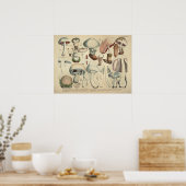 Vintag 1831 Mushroom Variety White Cap Print Poster (Küche)