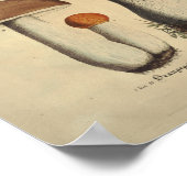 Vintag 1831 Mushroom Variety Yellow Brown Print Poster (Ecke)