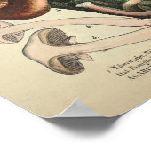 Vintag 1831 Mushroom Variety Yellow Brown Print Poster (Ecke)