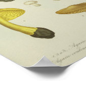 Vintag 1841 Gelbe braune Pilze Kunstdrucken Poster (Ecke)