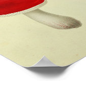 Vintag 1841 Rot-Grün-Pilze Kunstdrucken Poster (Ecke)