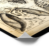 Vintag 1844 Anatomie des menschlichen Herzens Prin Poster (Ecke)