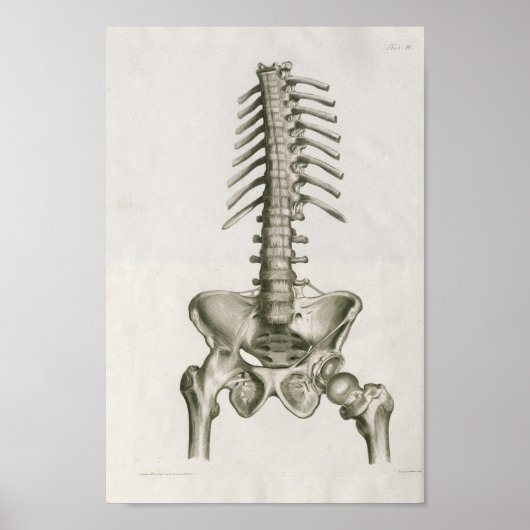 Vintag 1853 Lumbar Wirbelsäule Anatomie Art Print Poster (Vorne)