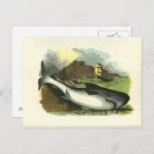 Vintag 1859 Haifisch FolkArt Illustration Postkarte (Vorne/Hinten)