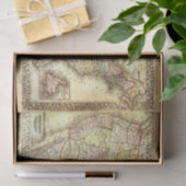 Vintag 1861 - 1889 USA Karte Seidenpapier (Geschenk)