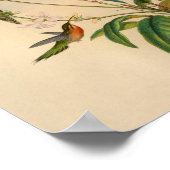 Vintag 1861 Hermit Hummingbird Print Poster (Ecke)