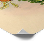 Vintag 1861 Hermit Hummingbird Print Poster (Ecke)