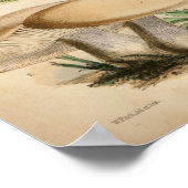 Vintag 1863 Gemeinsame weiß gekleidete Pilze Kunst Poster (Ecke)