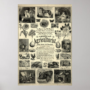 Vintag 1866 Der amerikanische Agrarwissenschaftler Poster