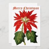 Vintag 1867 Poinsettia Weihnachten (Vorne/Hinten)