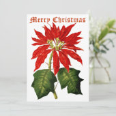 Vintag 1867 Poinsettia Weihnachten (Stehend Vorderseite)