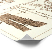 Vintag 1881 Frog Biology Anatomy Print Poster (Ecke)