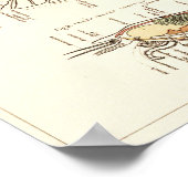 Vintag 1881 Hummer Biologie Anatomie Druck Poster (Ecke)