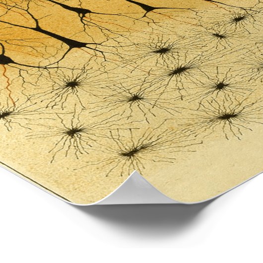 Vintag 1886 Nerven des Zentralnervensystems Poster (Ecke)