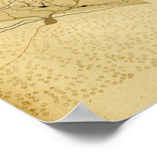 Vintag 1886 Nerven des Zentralnervensystems Poster (Ecke)