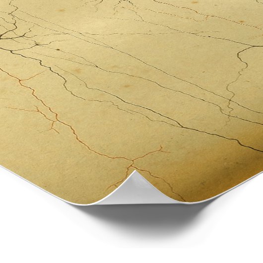 Vintag 1886 Nerven des Zentralnervensystems Poster (Ecke)