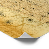 Vintag 1886 Nerven des Zentralnervensystems Poster (Ecke)