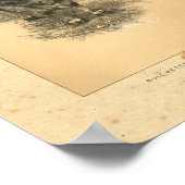 Vintag 1888 Bull Print Poster (Ecke)