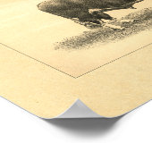 Vintag 1888 Bull Print Poster (Ecke)