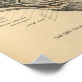 Vintag 1888 Deutsche Anatomie Druckknöchelfuß Poster (Ecke)