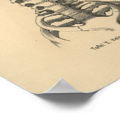 Vintag 1888 deutsche Anatomie Print Cervical Spine Poster (Ecke)