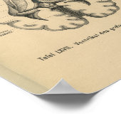 Vintag 1888 deutsches Anatomie-Druckgedächtnis Poster (Ecke)