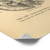 Vintag 1888 deutsches Anatomie-Druckgedächtnis Poster (Ecke)