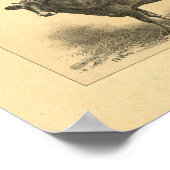 Vintag 1888 Jersey Cow Print Poster (Ecke)