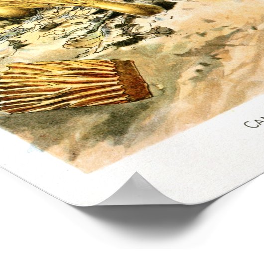 Vintag 1895 Pilze Braungelbe Kunstdrucke Poster (Ecke)