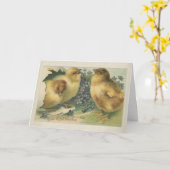 Vintag 1898 Baby Chick Oster Karte (Gelbe Blume)