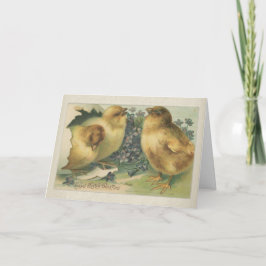 Vintag 1898 Baby Chick Oster Karte