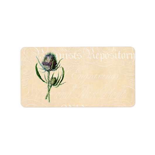 Vintag 1902 Schottische Thistle Antique Wildblume Adressaufkleber (Vorne)