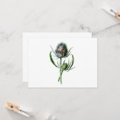 Vintag 1902 Schottische Thistle Antique Wilde Blum Karte (Vorderseite/Rückseite Beispiel)