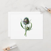 Vintag 1902 Schottische Thistle Antique Wilde Blum Karte (Vorderseite/Rückseite Beispiel)