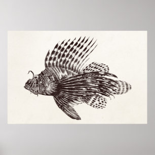 Vintag 1905 Lionfish Scorpionfish Retro Löwenfisch Poster
