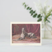 Vintag 1907 Darstellung des Hundes mit Katze Postkarte (Stehend Vorderseite)