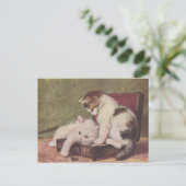 Vintag 1907 Illustration of Kittens Playing Postkarte (Stehend Vorderseite)