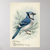 Vintag 1908 Blue Jay Christmas Poster Art (Vorne)