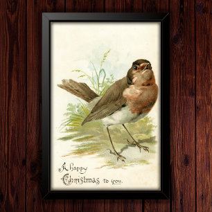 Vintag 1908 Robin Bird Weihnachtsgrüßposter Poster