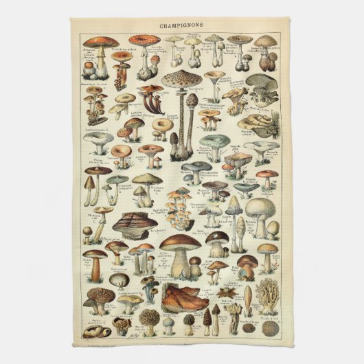 Vintag 1909 Pilz-Art von Adolphe Millot Geschirrtuch (Vertikal)