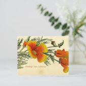 Vintag, 1910, Grüße aus Kalifornien Postkarte (Stehend Vorderseite)