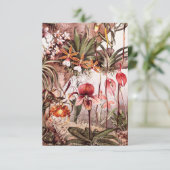 Vintag 1911 Orchid Blume Variety Illustration Karte (Stehend Vorderseite)