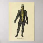 Vintag 1920 Anatomie-Kunstdruckkunst Poster (Vorne)
