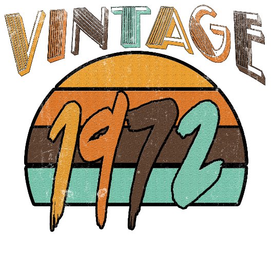 Vintag 1972 T-Shirt