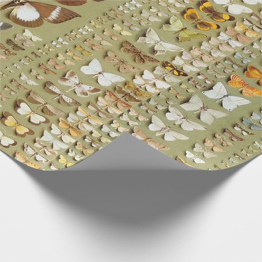 Vintag 374 Monate neue Guinea Geschenkpapier (Ecke)